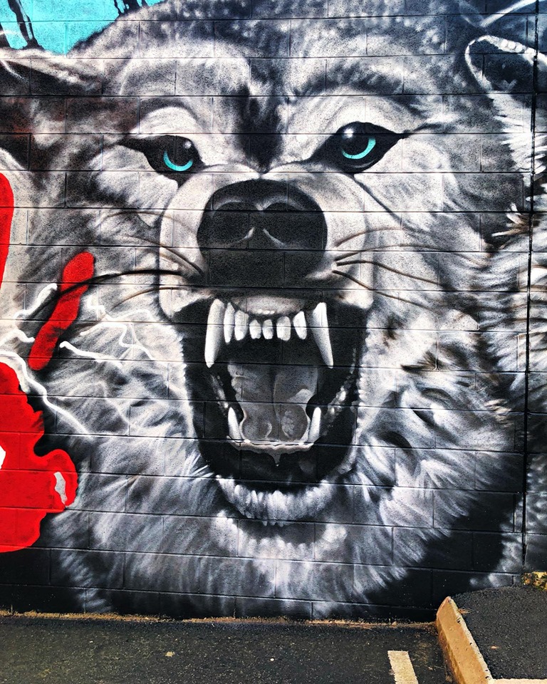 Ulster Rugby Mural at Kingspan Stadium Visual Waste